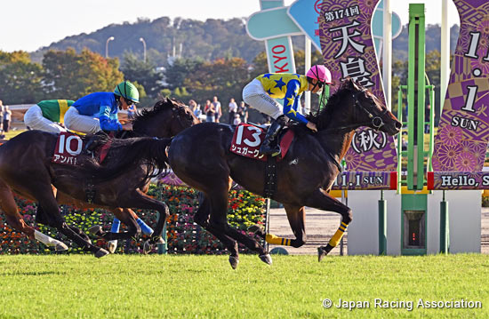 Fuji Stakes (G2)