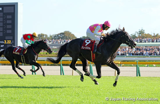 Tokyo High-Jump (J-G2)