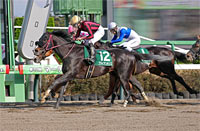 March Stakes (G3)