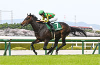 Churchill Downs Cup(NHK Mile Cup Trial) (G3)