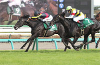 Lord Derby Challenge Trophy (G3)