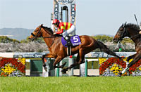 Osaka Hai (G1)
