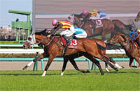 New Zealand Trophy (NHK Mile Cup Trial) (G2)