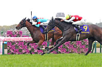Oka Sho (Japanese 1000 Guineas) (G1)