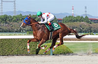 Antares Stakes (G3)