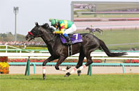Nakayama Grand Jump (J-G1)