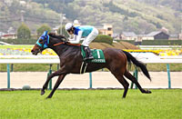 Fukushima Himba Stakes (G3)