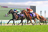 Tenno Sho (Spring) (G1)