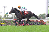 Kyoto Shimbun Hai (G2)