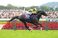 Yasuda Kinen (G1)