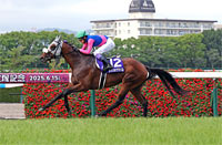  Takarazuka Kinen (G1)