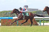 Shirasagi Stakes (G3)