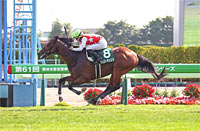 Hakodate Kinen (G3)