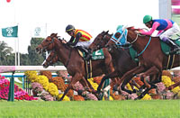 KBS Kyoto Sho Fantasy Stakes (G3)
