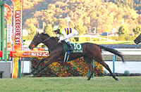 Fukushima Kinen (G3)