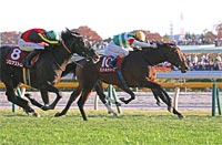 Tokyo Sports Hai Nisai Stakes (G2)