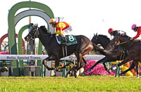 Radio Nikkei Hai Kyoto Nisai Stakes (G3)