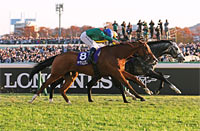 Japan Cup in association with LONGINES (International Invitational) (G1)