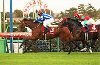 Sports Nippon Sho Stayers Stakes (G2)