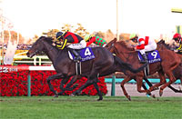 Arima Kinen (The Grand Prix) (G1)