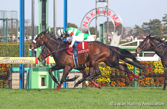 Nakayama Kinen (G2)