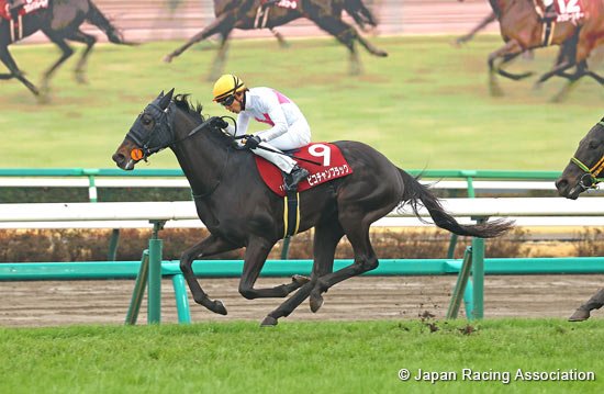 Spring Stakes (Japanese 2000 Guineas Trial) (G2)