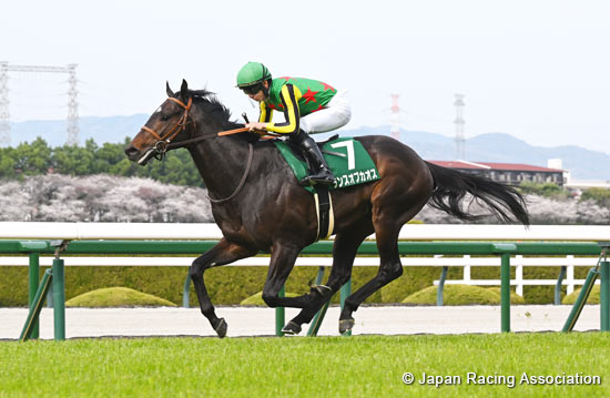 Churchill Downs Cup(NHK Mile Cup Trial) (G3)