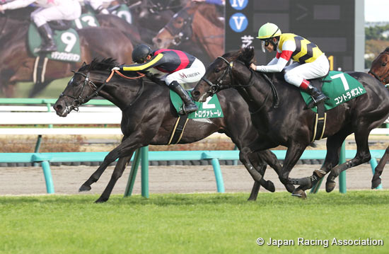 Lord Derby Challenge Trophy (G3)