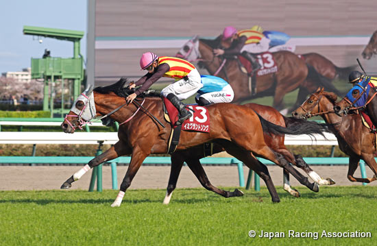 New Zealand Trophy (NHK Mile Cup Trial) (G2)