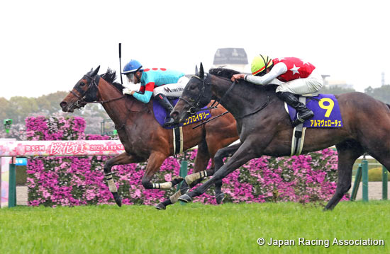 Oka Sho (Japanese 1000 Guineas) (G1)