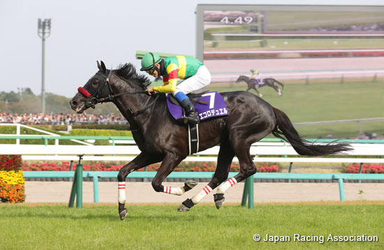 Nakayama Grand Jump (J-G1)