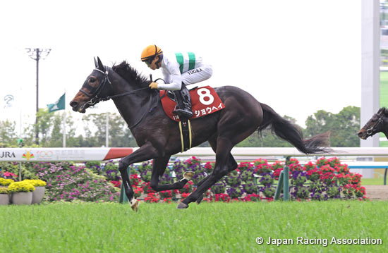 Kyoto Shimbun Hai (G2)