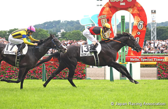 Tokyo Yushun (Japanese Derby) (G1)