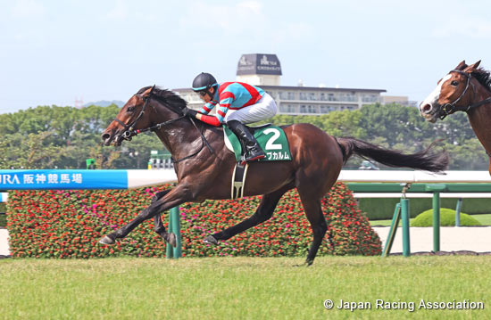 Shirasagi Stakes (G3)