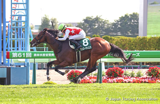 Hakodate Kinen (G3)