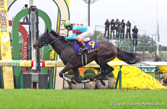 Kikuka Sho (Japanese St. Leger) (G1)