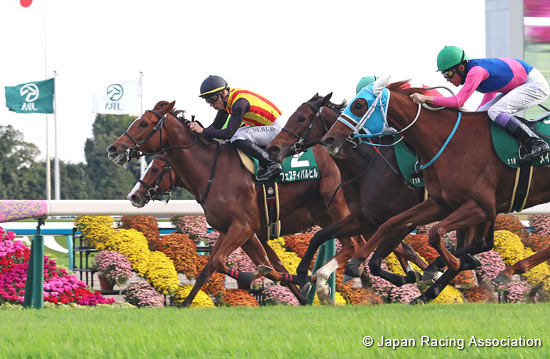 KBS Kyoto Sho Fantasy Stakes (G3)