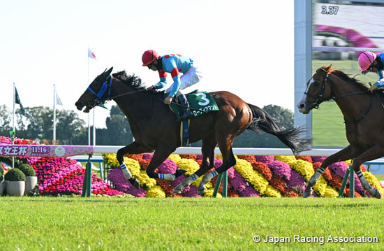 Kyoto Jump Stakes (J-G3)