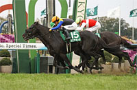 Sports Nippon Sho Kyoto Kimpai (G3)