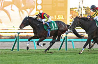 Nikkan Sports Sho Nakayama Kimpai (G3)