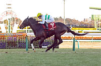 American Jockey Club Cup (G2)